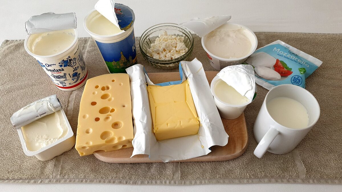 Sýr, máslo, tvaroh, jogurty a hrnek mléka na dřevěném prkénku