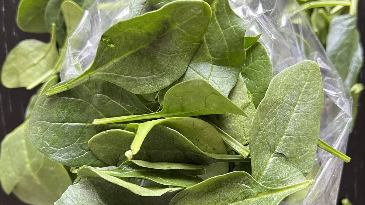 Čerstvé listy špenátu zblízka