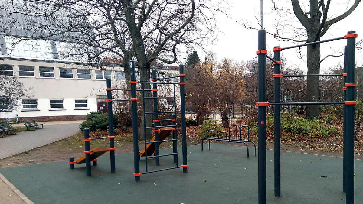 Venkovní hřiště na street workout s hrazdami, žebřinami a bradly v parku na podzim